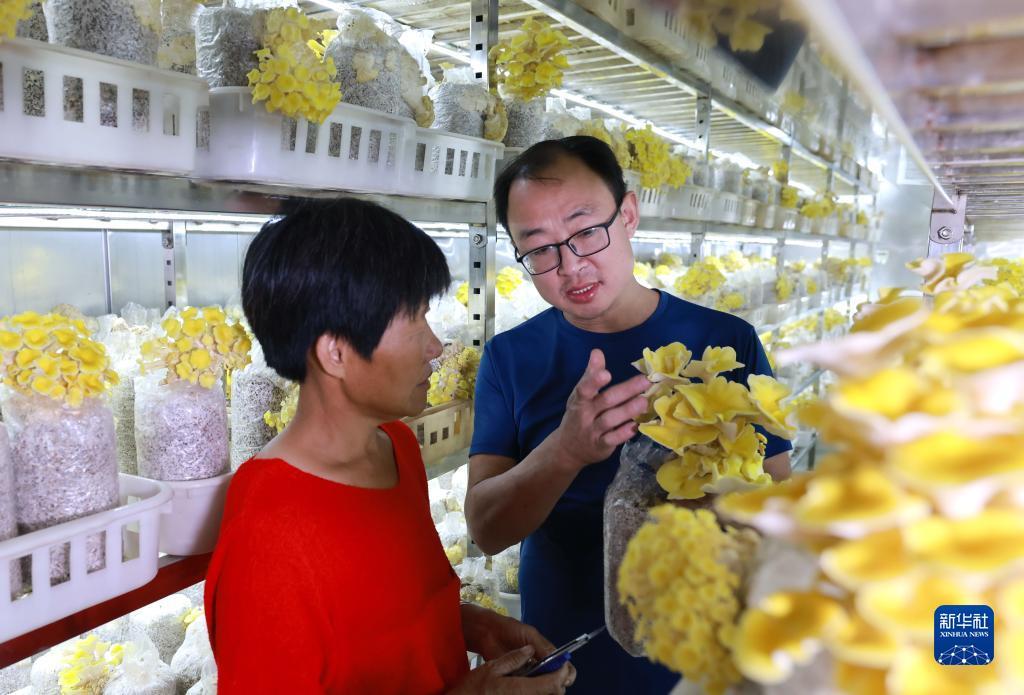 太阳城游戏官网网址